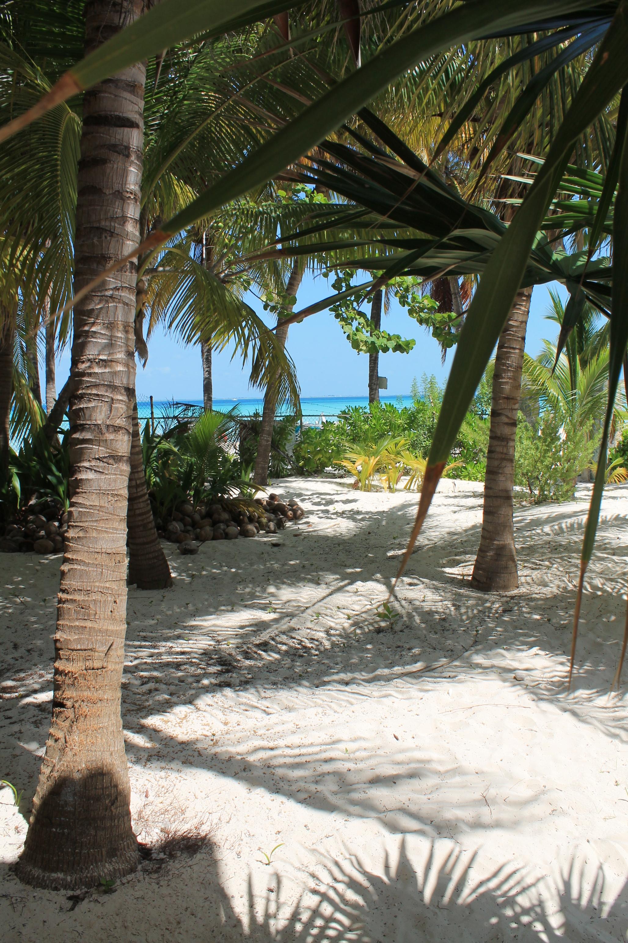 Cabanas Maria Del Mar Otel Isla Mujeres Dış mekan fotoğraf