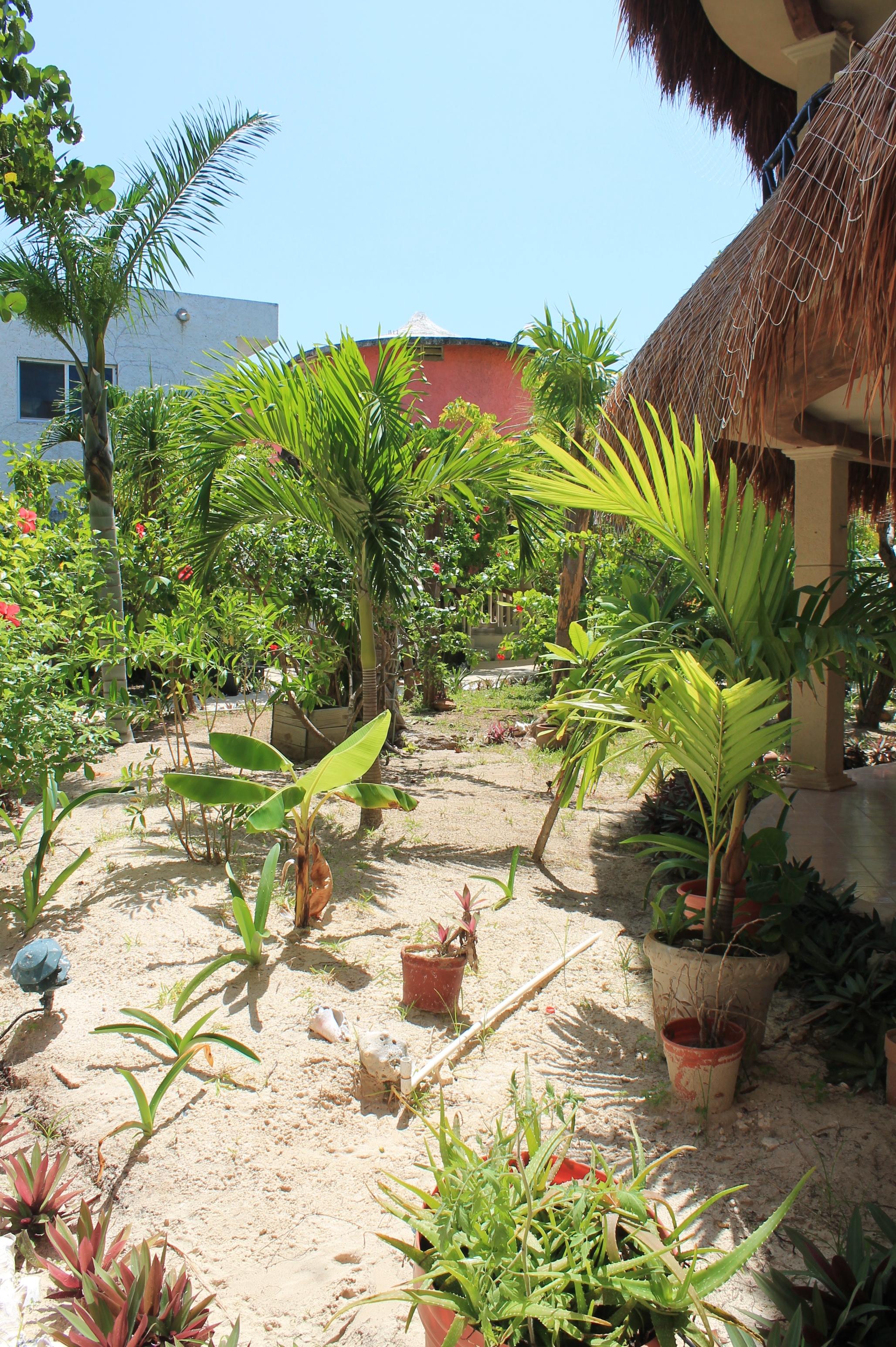 Cabanas Maria Del Mar Otel Isla Mujeres Dış mekan fotoğraf